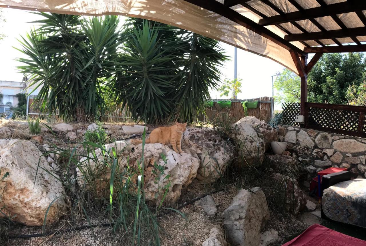 Panorama Kinneret נוף כנרת, צפת Safed Exterior foto
